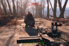 Fallout 4 Glitches